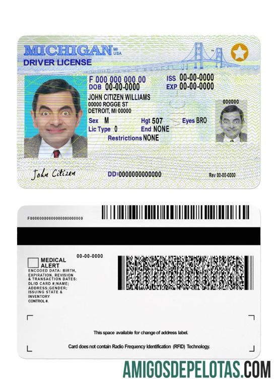 EUA Michigan DL 2021 Presente exemplo real